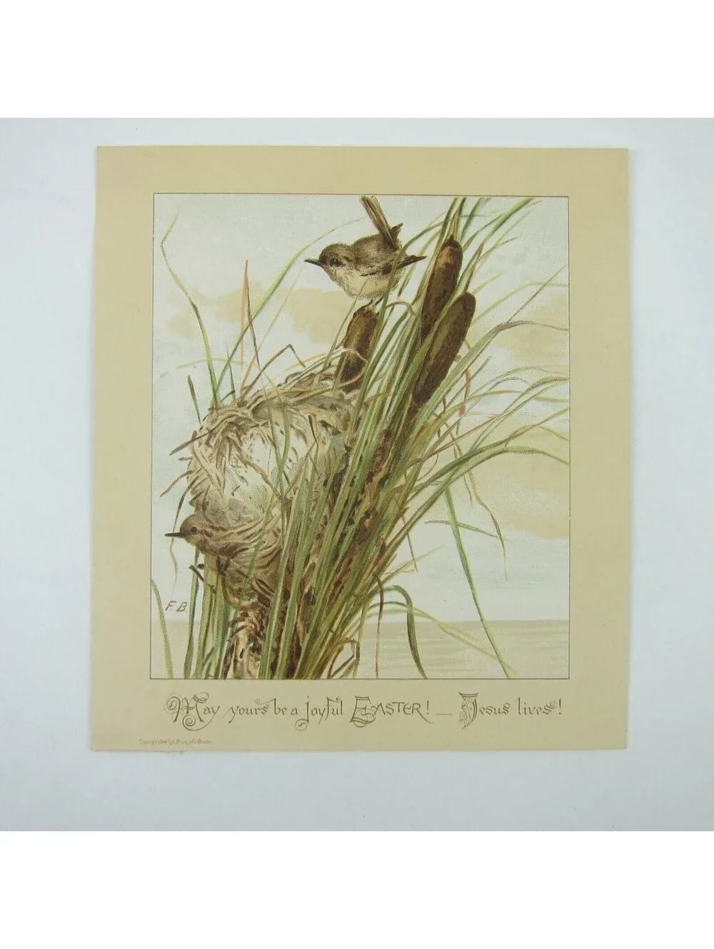 Victorian Easter Greeting Card Birds Nest in Cattails Yellow Green Antique 1884